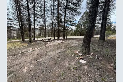 225 Trout Creek Lane, Fairplay, CO 80440 - Photo 14