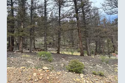 225 Trout Creek Lane, Fairplay, CO 80440 - Photo 24