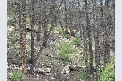 225 Trout Creek Lane, Fairplay, CO 80440 - Photo 6