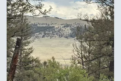 225 Trout Creek Lane, Fairplay, CO 80440 - Photo 2