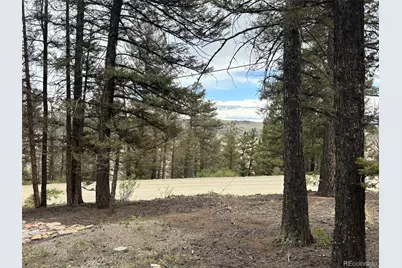 225 Trout Creek Lane, Fairplay, CO 80440 - Photo 8