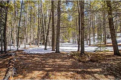 122 Arts Pike, Fairplay, CO 80440 - Photo 36