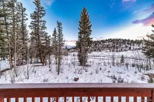 315 Haida Ln, Como, CO 80432 - Photo 40