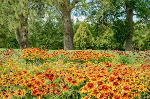 2240 S Irving St, Denver, CO 80219 - Photo 36