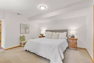 30281 Peggy Ln, Evergreen, CO 80439 - Photo 16
