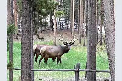 9264 Sandy Lane, Conifer, CO 80433 - Photo 30