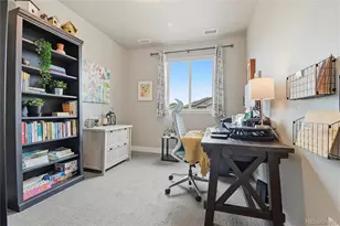 6844 Bethany Dr, Parker, CO 80138 - Photo 28