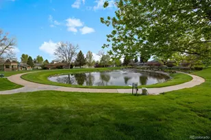 38 Irene Ct, Broomfield, CO 80020 - Photo 38