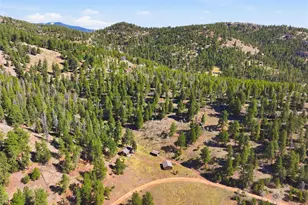 33601 Stransky Rd, Evergreen, CO 80439 - Photo 36