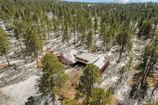 20202 Spring Creek Trail, Pine, CO 80470 - Photo 12