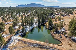 20202 Spring Creek Trail, Pine, CO 80470 - Photo 48