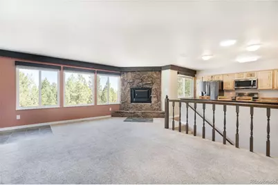 9790 S Warhawk Road, Conifer, CO 80433 - Photo 12