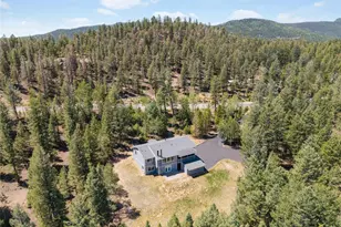 9790 S Warhawk Rd, Conifer, CO 80433 - Photo 44