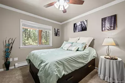 7524 Engineers Court, Larkspur, CO 80118 - Photo 34