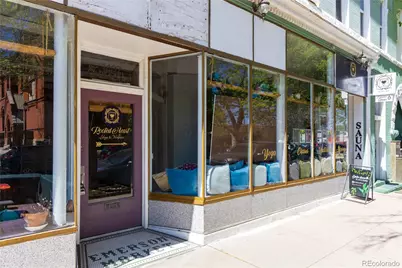 1332 N Williams Street #202, Denver, CO 80218 - Photo 30