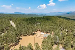 1734 Mt Evans Blvd, Pine, CO 80470 - Photo 48
