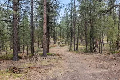 1734 Mount Evans Boulevard, Pine, CO 80470 - Photo 42