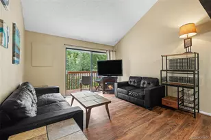 1901 Clear Creek Dr, Georgetown, CO 80444 - Photo 6