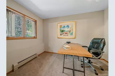 675 Witter Gulch Road, Evergreen, CO 80439 - Photo 22