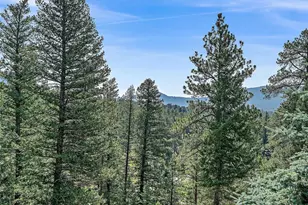 675 Witter Gulch Rd, Evergreen, CO 80439 - Photo 10