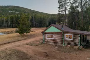 9719 Beaver Pond, Conifer, CO 80433 - Photo 48