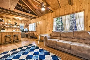 104 Usfs, Divide, CO 80814 - Photo 6