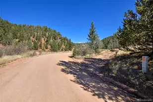 104 Usfs, Divide, CO 80814 - Photo 28