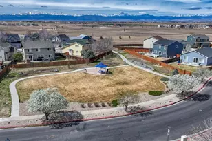 490 Dukes Way, Dacono, CO 80514 - Photo 44