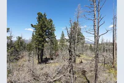 2169 Hayden Lane, Fort Garland, CO 81133 - Photo 6