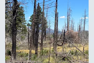 2169 Hayden Lane, Fort Garland, CO 81133 - Photo 1