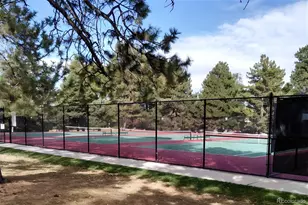 3056 S Grape Way, Denver, CO 80222 - Photo 50