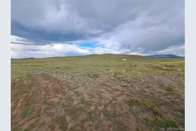 217 Black Gatto Trail, Hartsel, CO 80449 - Photo 4