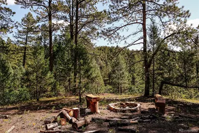 375 N County Highway 67, Sedalia, CO 80135 - Photo 12