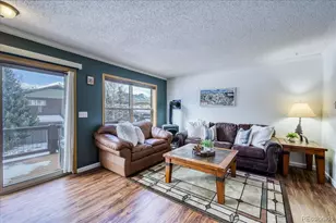 746 W Anemone Trail, Dillon, CO 80435 - Photo 2