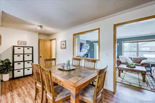 746 W Anemone Trail, Dillon, CO 80435 - Photo 10