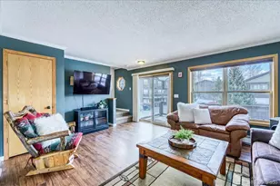 746 W Anemone Trail, Dillon, CO 80435 - Photo 4