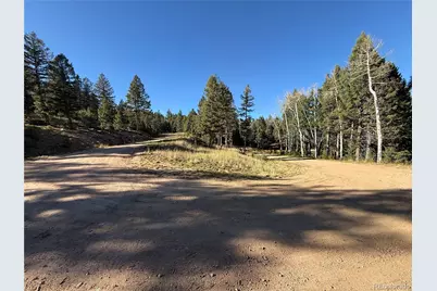 9606 Wallow Court, Conifer, CO 80433 - Photo 12