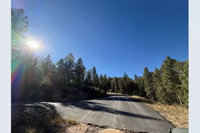 9606 Wallow Court, Conifer, CO 80433 - Photo 10