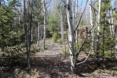 00 Spruce Street, Central City, CO 80427 - Photo 4