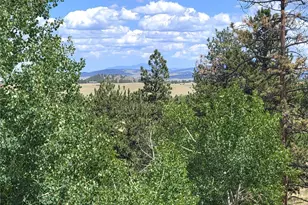 5076 Campfire Rd, Hartsel, CO 80449 - Photo 12