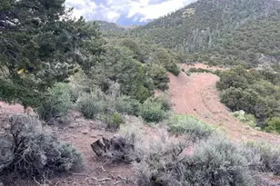 Lot 5056 France Aimee Rd, Fort Garland, CO 81133 - Photo 1