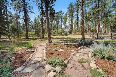 4976 Red Rock Drive, Larkspur, CO 80118 - Photo 28