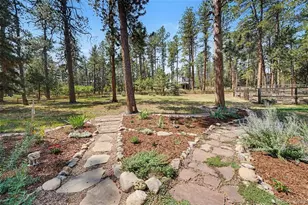 4976 Red Rock Dr, Larkspur, CO 80118 - Photo 28