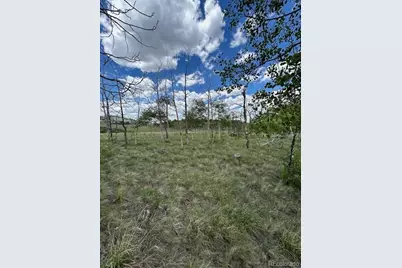 807 Bolster Drive, Hartsel, CO 80449 - Photo 12