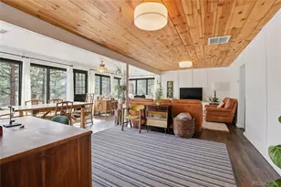 28587 Park Ave, Pine, CO 80470 - Photo 14