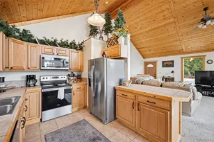 585 Miners Way, Fairplay, CO 80440 - Photo 10