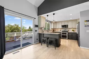 9924 Silver Maple Way, Highlands Ranch, CO 80129 - Photo 10