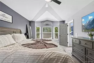 9924 Silver Maple Way, Highlands Ranch, CO 80129 - Photo 18