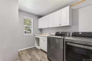 9924 Silver Maple Way, Highlands Ranch, CO 80129 - Photo 14