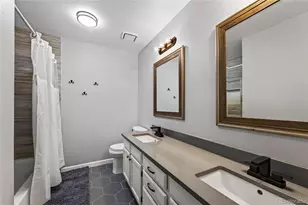 9924 Silver Maple Way, Highlands Ranch, CO 80129 - Photo 24